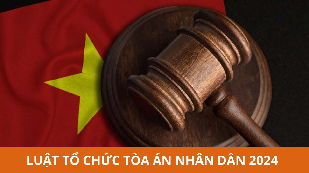 Luật Tổ chức Tòa án nhân dân năm 2024